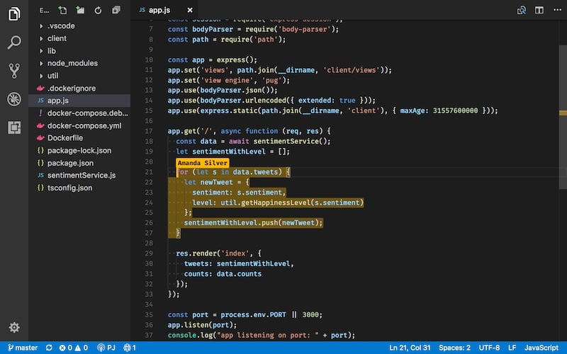 A screenshot showing the user cursor highlighting feature of Live Share extension